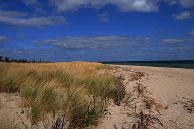 Scenic view of beach against sky