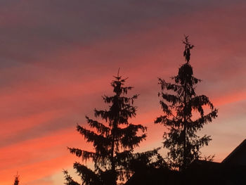 Low angle view of silhouette tree against orange sky