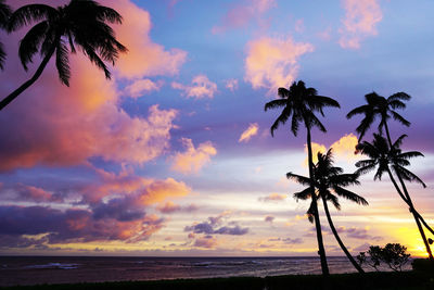 Silhouette palm tree by sea against dramatic sky