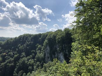 Scenic view of forest against sky