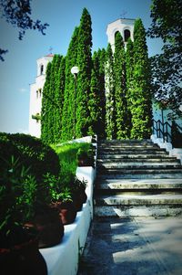 View of trees and plants