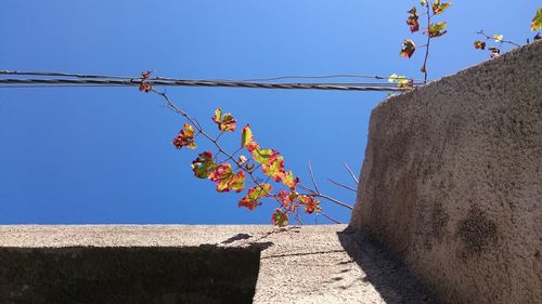 Low angle view of built structure against clear blue sky