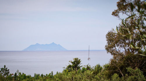 Scenic view of sea against clear sky