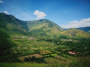 Scenic view of agricultural field against sky