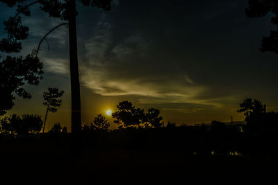 Silhouette trees against sky during sunset