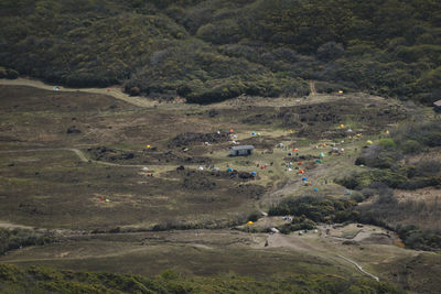 High angle view of trees on field