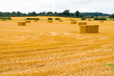 Hay bales on field against sky