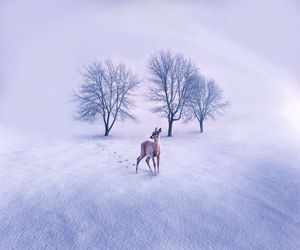 View of deer on snow covered landscape