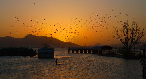 Silhouette birds flying over lake against orange sky