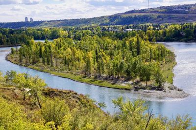 Scenic view of lake in forest