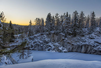 Snow covered land and trees against sky