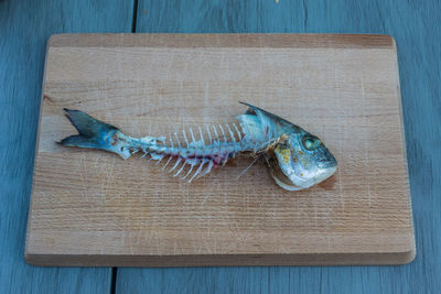 High angle view of fish on cutting board