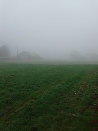 Scenic view of field in foggy weather against sky