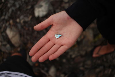 Cropped hand holding mineral