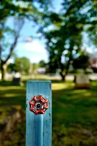 Close-up of sign on grass