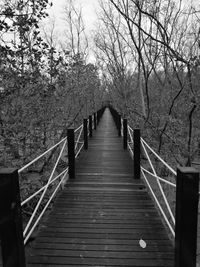 Footbridge amidst trees against sky