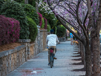 Rear view of man riding bicycle on sidewalk