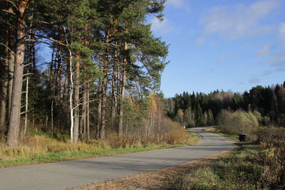 Road amidst trees in forest against sky