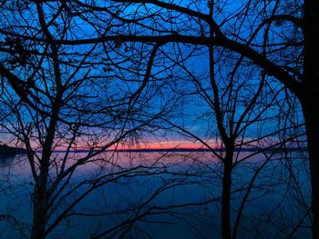 Low angle view of silhouette bare trees against sky at night