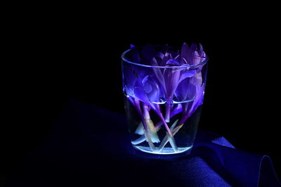 Close-up of illuminated glass against black background