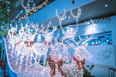 Low angle view of illuminated chandelier