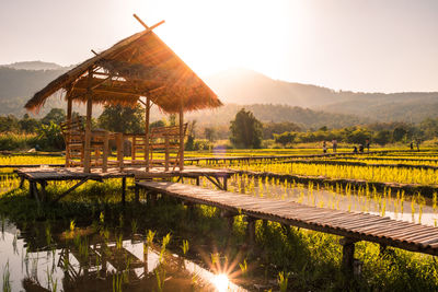 Scenic view of a hut on the rice field at the sunset time.