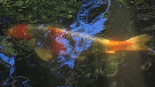 Full frame shot of water