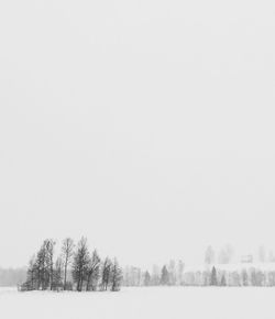 Trees on snow field against clear sky