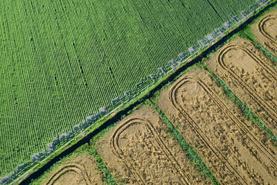 Photographic documentation of the cultivations of the fields seen from above