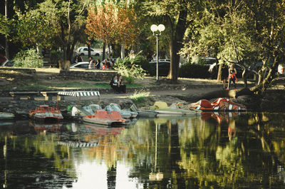 Scenic view of lake and trees in park