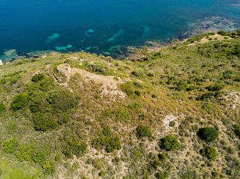 Scenic view of sea shore