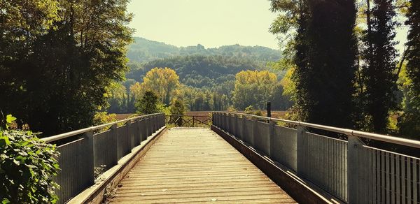 Footbridge amidst trees in forest