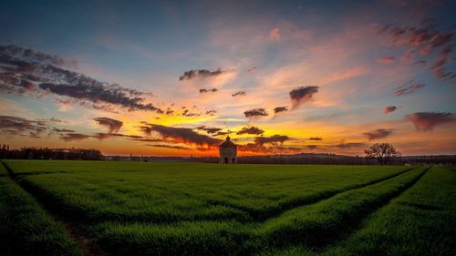 Scenic view of agricultural field against sky during sunset