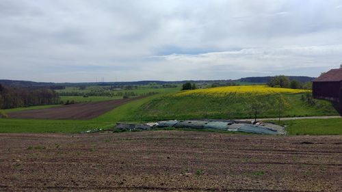 Scenic view of agricultural field against sky
