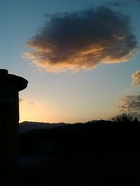 Silhouette of trees at sunset