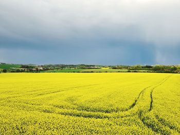 Scenic view of field against sky