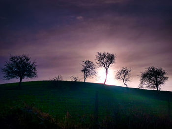 Silhouette trees on field against sky during sunset