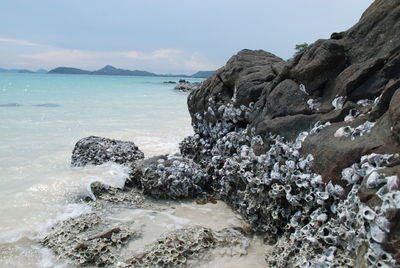 Rock formation on beach against sky