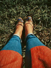 Low section of woman wearing shoes on land