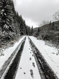 Tire tracks on snow covered landscape