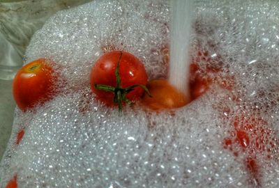 Directly above shot of crab in water