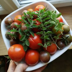 High angle view of tomatoes with vegetables