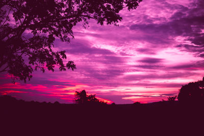 Silhouette trees against dramatic sky during sunset
