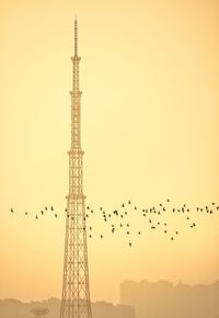 A flock of birds flying over buildings past a high tower against the sky during sunset 