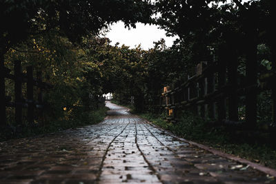 Empty footpath amidst trees in park