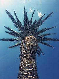 Low angle view of palm tree against blue sky