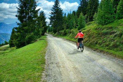 Rear view of man riding bicycle on road