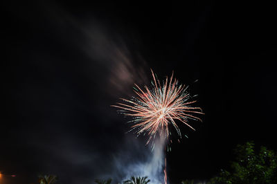 Multicolored fireworks in the night sky. celebration of independence day,