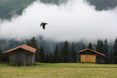 Scenic view of house