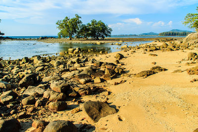 Scenic view of beach against sky